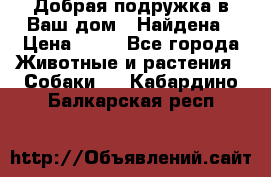 Добрая подружка,в Ваш дом!!!Найдена › Цена ­ 10 - Все города Животные и растения » Собаки   . Кабардино-Балкарская респ.
